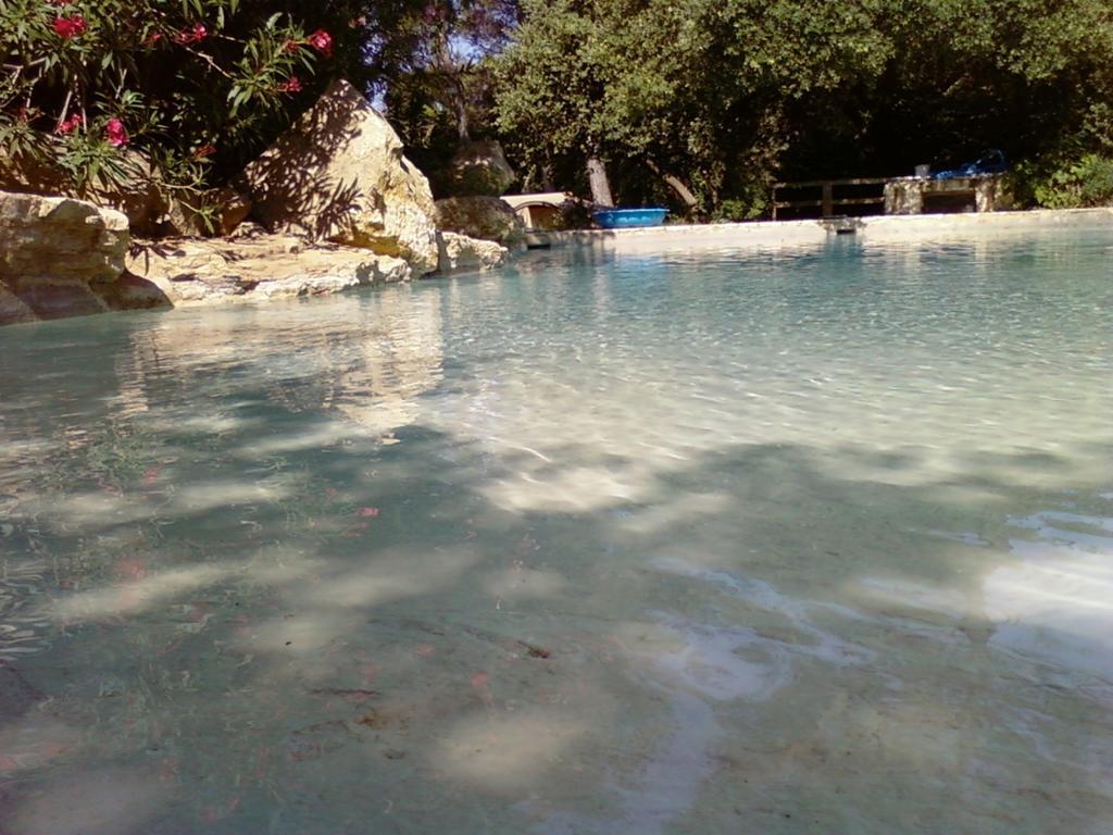 Bed and Breakfast La Bousquatiere Piolenc Exterior foto
