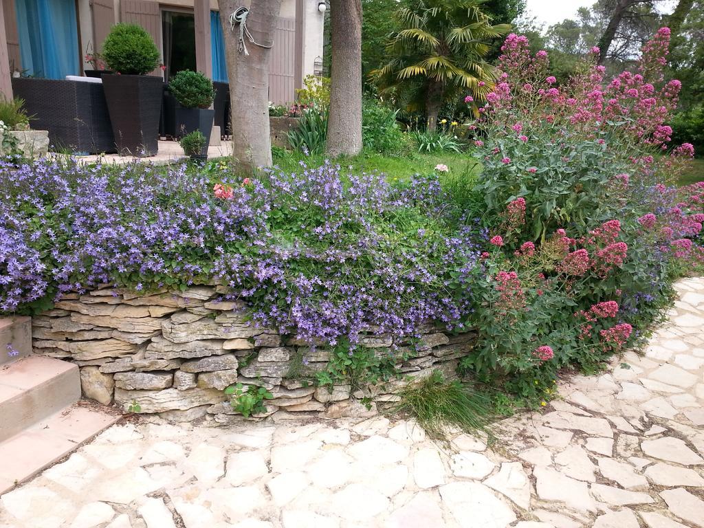 Bed and Breakfast La Bousquatiere Piolenc Exterior foto